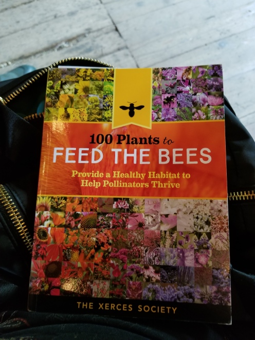 Joy Macy's Bluefield Bee s Book